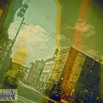 12_vine_medium