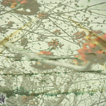 Trees_tracks__medium