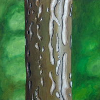 Tree_front_medium