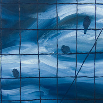 Birdfence_front_medium