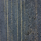 Rain_detail_small