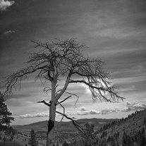 Above_the_city_medium