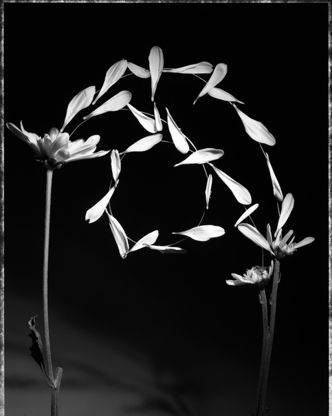 Untitled (IV)