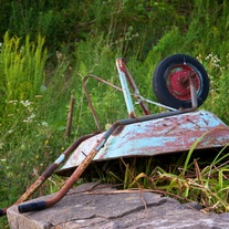 Old Wheelbarrow