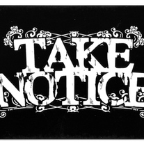 STICKER | Take Notice Sticker