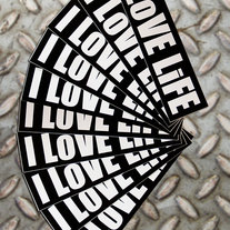 10-i-love-life_medium