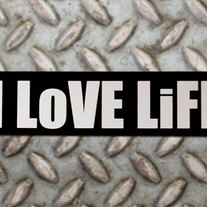 1-i-love-life_medium