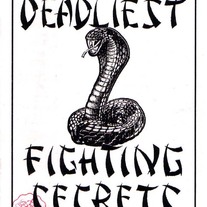 WORLD'S DEADLIEST FIGHTING SECRETS