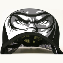 Ninja Gaiden