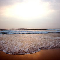 India Beach 8x12