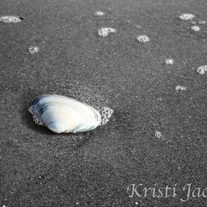 Washed Ashore 11x14