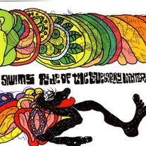 The Swims - Ride the Blueberry Winter 12"