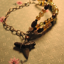 Camimages10_021_medium