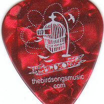 Picks_0001_medium