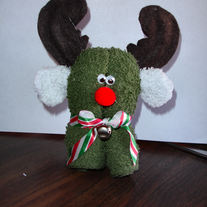 Dsc07557_medium
