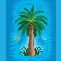 "Phoenix Canariensis"-Phoenix palm-Limited edition archival inkjet print on canvas.