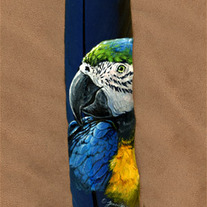 Original "Blue and Gold Macaw Portrait" Painted Feather
