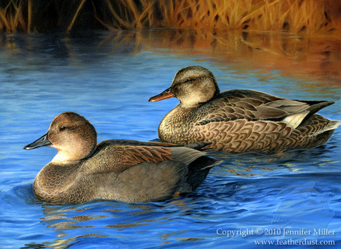 "Gadwalls" Acrylic Painting