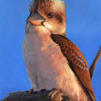 "Laughing Kookaburra" Acrylic Painting