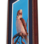 "Laughing Kookaburra" Acrylic Painting - Thumbnail 3
