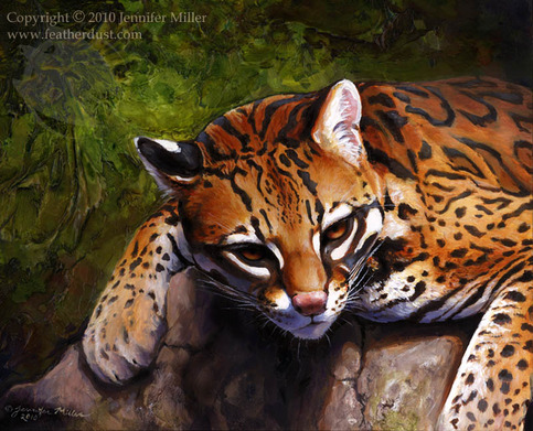 Ocelot_web_large