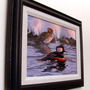 Hoodedmergansersframed2_small