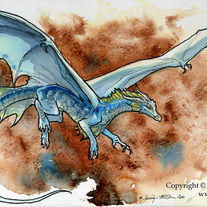 Bluebandeddragonweb_medium