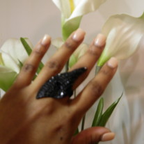 Black_tie_affair_resized_medium