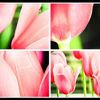 Picture_3_medium