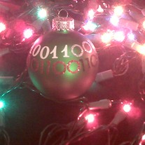 Img00175-20101206-0105_medium