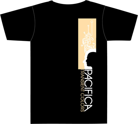 SALE! - Transient Colors "down"