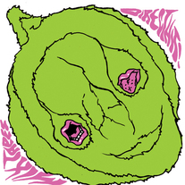 Mxdhalbumart2_large_medium