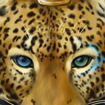 "Onca" Small LTD ED Matted Print