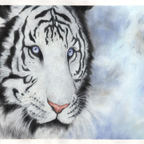 "Frost" Small LTD ED Matted Print