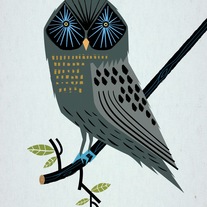 Owlpod_medium