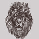 Mr-lion-graphic_small
