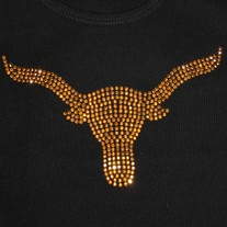 Longhorn_medium