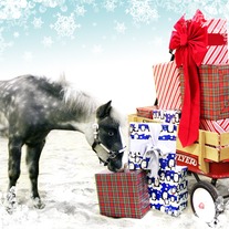 Holiday Card