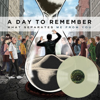 A Day To Remember- What Separates Me From You
