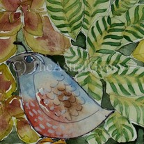 QUAIL small animal art print 5 x 7