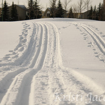 Skier's Heaven 8x10