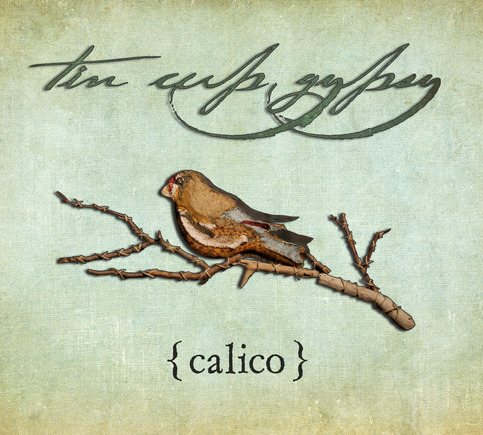 "Calico" by Tin Cup Gypsy.  Full Length CD.