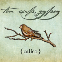 "Calico" by Tin Cup Gypsy.  Full Length CD.