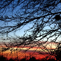 035_kam_watermark_medium