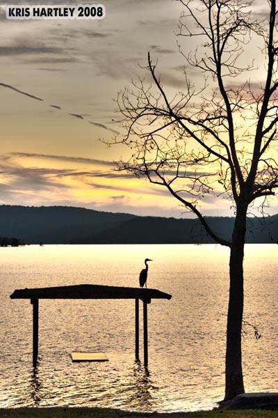 5x7 Print - "Silhouette Sunset"