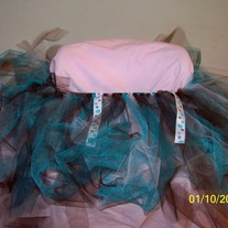 2011-01-11_001_medium