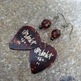 Tortoise guitar pick earrings - Thumbnail 3