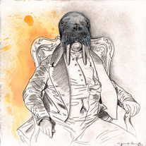 Walrus_medium
