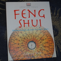 Feng Shui by Zaihong Shen
