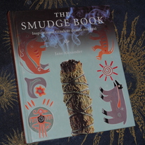 The Smudge Book by Jane Alexander
